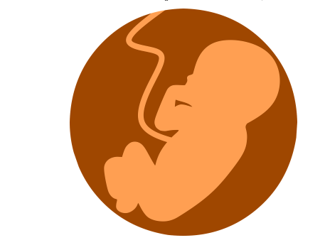 اهم التدابير 